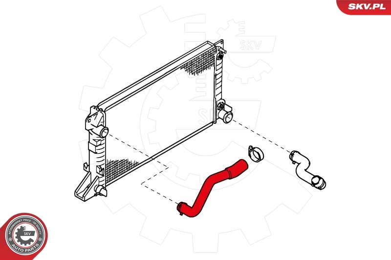 Radiator Hose